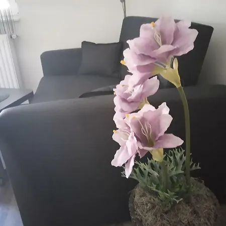 Hannaa Apartman 아파트